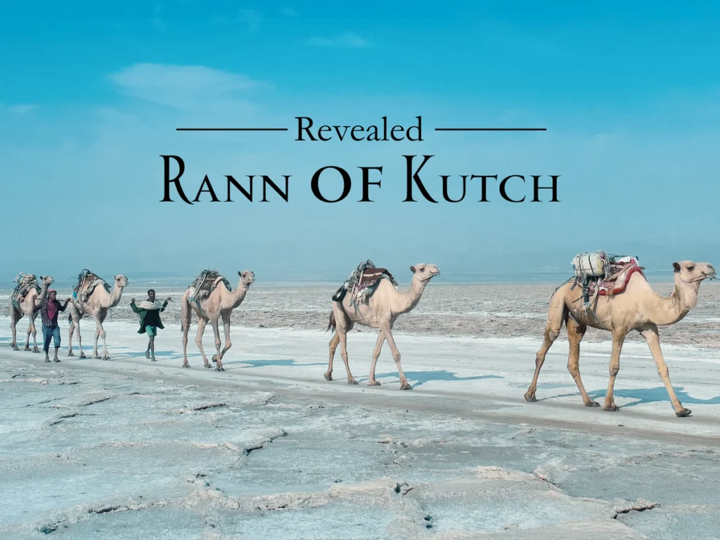 Rannofkutch